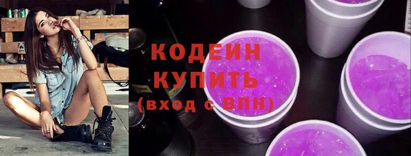 прущие грибы Елизово