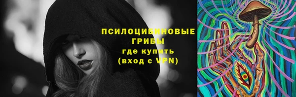 прущие грибы Елизово