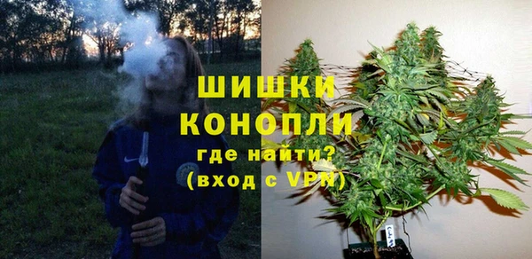 таблы Ельня