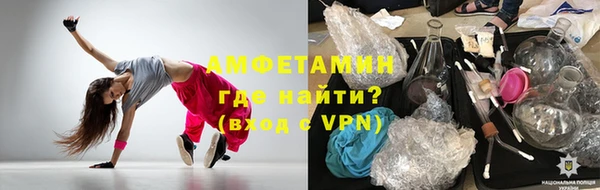прущие грибы Елизово