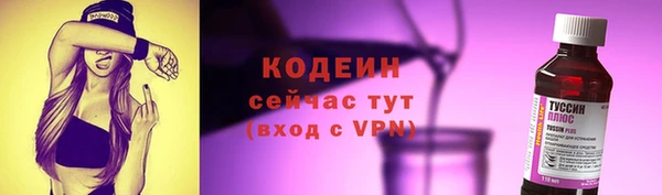 прущие грибы Елизово