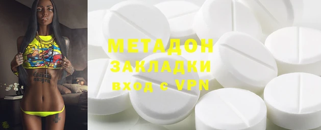 прущие грибы Елизово