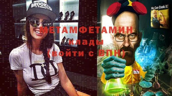 прущие грибы Елизово