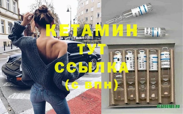 прущие грибы Елизово